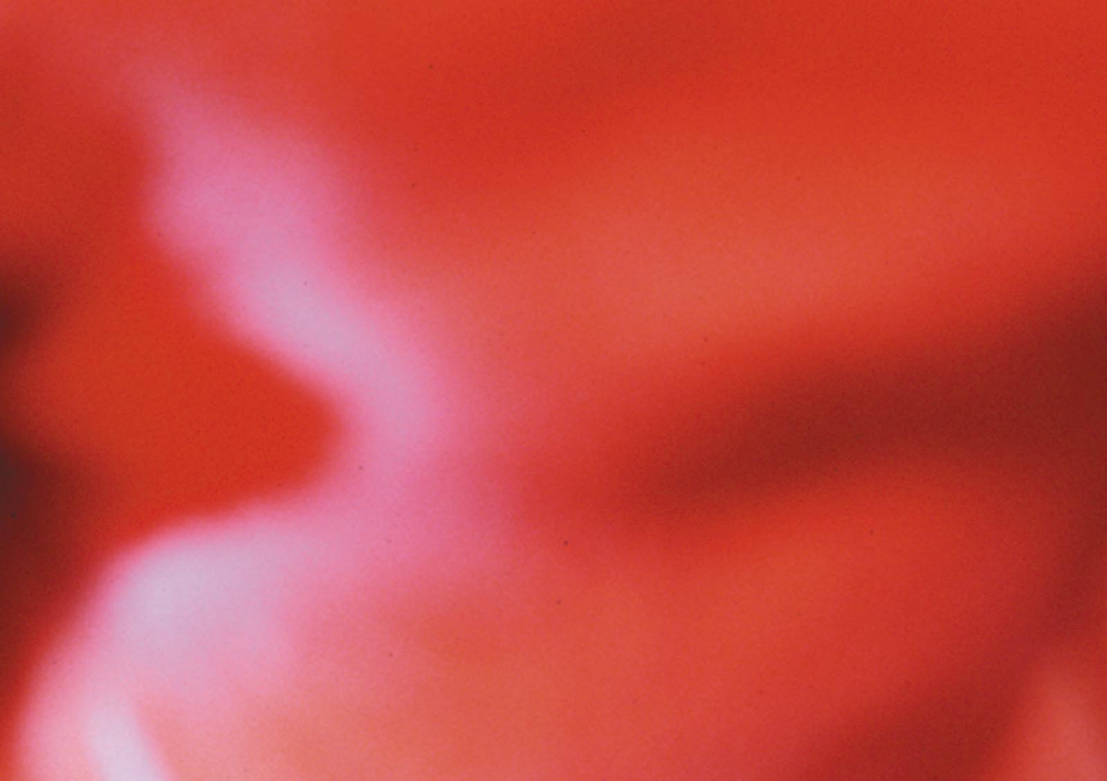 Oblivious. 2003. Audio-visual work.