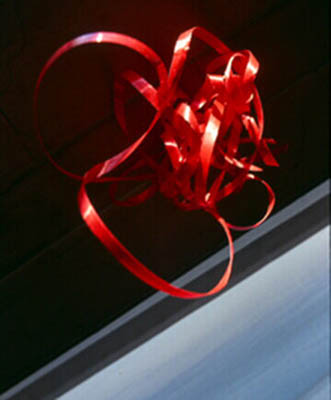 Scarlet Event. 1995. Red colored plastic ribbon. Dimensions variable.